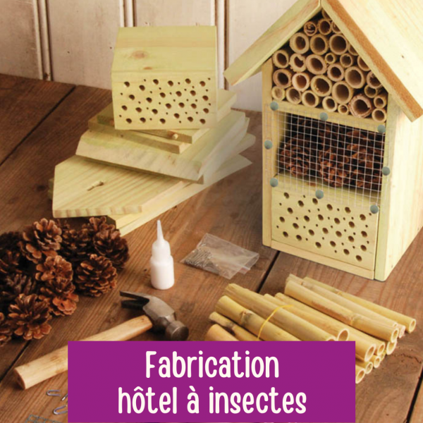 Fabrication hôtel à insectes