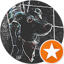 Marine Fafiotte profile picture